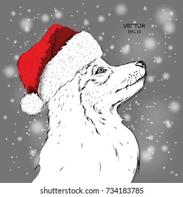 The christmas poster with the image husky portrait in Santa's hat. Hand draw vector illustration.