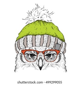 The christmas poster with the image owl portrait in winter hat. Vector illustration.