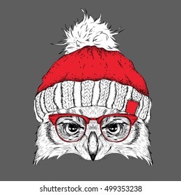 The christmas poster with the image owl portrait in winter hat. Vector illustration.