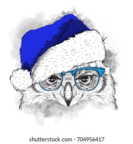 The christmas poster with the image owl portrait in Santa's hat. Vector illustration.