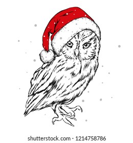 The christmas poster with the image owl in Santa's hat. Vector illustration. Hipster bird. Had-drawn.
