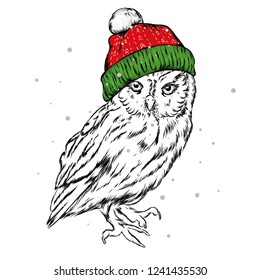 The christmas poster with the image owl in Santa's hat. Vector illustration. Hipster bird. Had-drawn.
