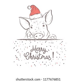 Christmas poster with image a pig portrait in Santa's hat.