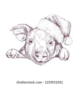 Christmas poster with image a pig portrait in Santa's hat. Vector illustration.