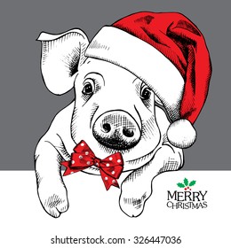 Christmas poster with image a pig portrait in Santa's hat and with bow. Vector illustration.