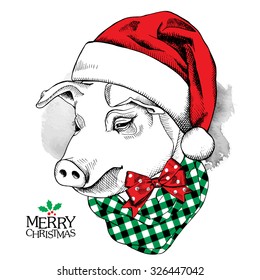 Christmas poster with image a pig portrait in Santa's hat and with checkered cravat. Vector illustration.