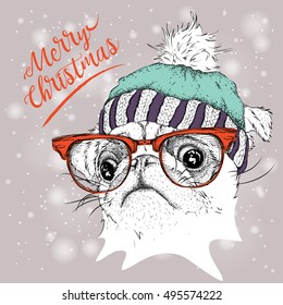 The christmas poster with the image pug portrait in winter hat. Vector illustration.