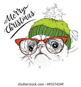 The christmas poster with the image pug portrait in winter hat. Vector illustration.
