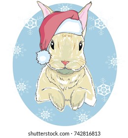 The christmas poster with the image rabbit portrait in Santa's hat