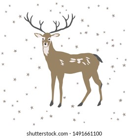 Christmas print with deer forest animal, stars, white background. Vector illustration. Nature design greeting card, poster. Winter Xmas holidays