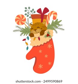Christmas print with funny cat sleeping in a mitten among gifts isolated on a white background. Vector holiday illustration with a holly branch and sweets.
