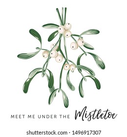 Christmas print with text Meet me under the mistletoe, white background. Mistletoe leaves, berries bouquet. Vector illustration. Nature design. Xmas greeting card, poster template. Winter holidays