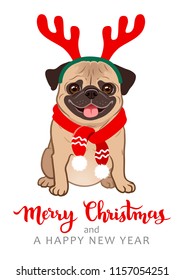 Christmas pug dog cartoon illustration. Cute friendly fat chubby fawn sitting pug puppy, smiling with tongue out, wearing red scarf and antlers. Pets, dog lovers, animal themed Christmas greeting card