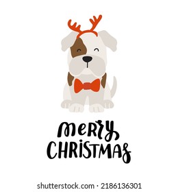 Frances de perritos de Navidad. Cuta ilustración de dibujos animados con citas de amantes del perro. Te agradecemos una Feliz Navidad. Elementos de diseño de vacaciones para tarjetas de felicitación, pegatinas, camiseta, afiche.