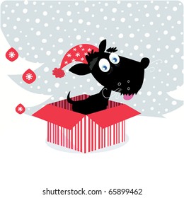 Christmas puppy dog in christmas gift. Vector Illustration.