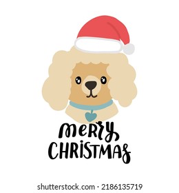 Christmas puppy poodle. Cute cartoon illustration with dog lovers quote. We woof you a Merry Christmas. Holidays design elment for greeting cards, stickers, t shirt, poster.