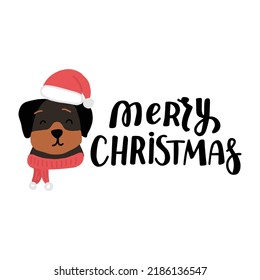 Christmas puppy rottweiler isolated. Cute cartoon illustration with dog lovers quote. We woof you a Merry Christmas. Holidays design elment for greeting cards, stickers, t shirt, poster.