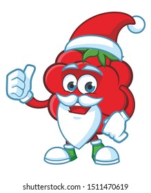 christmas Raspberries Mascot character design vector