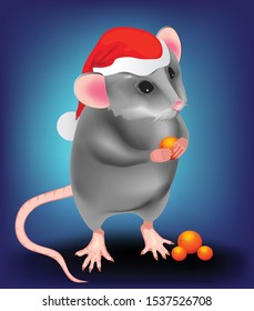 Christmas rat in a red cap