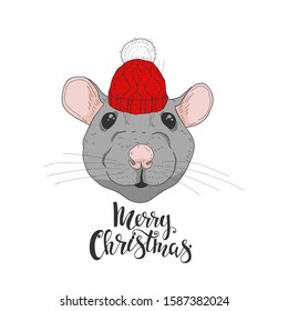Christmas rat with red hat isolated on white. Vector illustration.