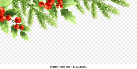 Christmas realistic decorations banner design. Holly tree branches with green leaves and red berries, fir twigs on transparent background. Greeting card, poster design element. Color isolated vector