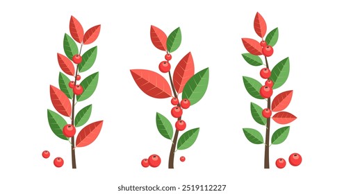 Weihnachten rote Beere, Ast Blätter Ikone, Baum und Pflanze, Dekoration Frühling, Weihnachten Blumensatz. Cartoon Holly Beere, Herbstzweig einzeln auf weißem Hintergrund. Neujahrsgrün. Vektorgrafik