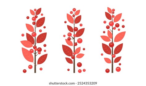 Christmas red berry, branch leaves icon, holiday tree and plant, decoration sprig, Xmas floral set. Cartoon holly berry, autumn twig isolated on white background. New Year foliage. Vector illustration