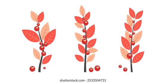 Christmas red berry, branch leaves icon, holiday tree and plant, decoration sprig, Xmas floral set. Cartoon holly berry, autumn twig. New Year foliage. Vector illustration isolated on white background