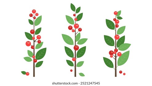 Christmas red berry, holiday tree and plant, branch leaves icon, decoration fruit sprig, Xmas floral set. Cartoon autumn twig isolated on white background. New Year foliage. Vector illustration