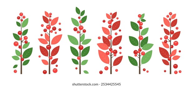 Christmas red berry, holiday tree and plant, branch leaves icon, decoration fruit sprig, Xmas floral set. Cartoon twig isolated on white background. New Year color foliage. Nature vector illustration