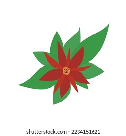 Christmas red flower with green leaves. Decor for Christmas and New Year. Festive vector illustration in flat cartoon style.