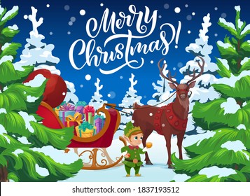 Christmas reindeer and elf with gifts, Xmas winter holidays vector design. Santas sleigh with Christmas present boxes, red bag and deer in winter forest with pine or fir trees, snow and snowflakes