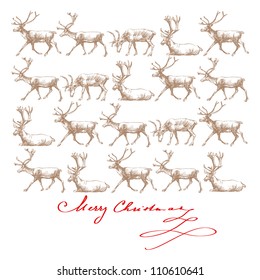 Christmas Reindeer - Hand Drawn Card