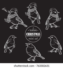 Christmas Robin. Set of 6 hand drawn sketch style pictures of Robin in different angles with or without hat and scarf. Linear drawing isolated of white background. EPS 10 Vector illustration