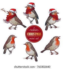 Christmas Robin. Set of 6 hand drawn sketch style pictures of Robin in different angles with or without hat and scarf. Colourfull painting isolated of white background. EPS 10 Vector illustration