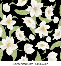 Black Hellebore Stock Vectors Images Vector Art Shutterstock