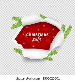 Christmas sale banner. Ripped paper hole with christmas tree branches. Vector realistic torn paper sheet