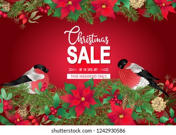 Christmas sale. Poster, card, banner with a Christmas wreath of spruce and pointezii with bullfinches. Vector illustration.