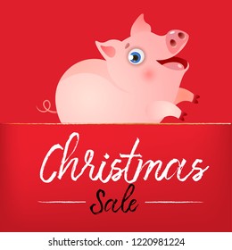 Christmas Sale red banner design with funny pig in and sample text. Lettering with funny pig on red background. Can be used for sales, discounts, shops