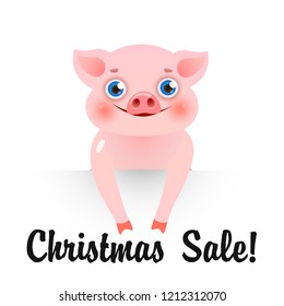 Christmas Sale white poster design with piglet. Creative lettering with cutie piggy on white background. Can be used for shopping, sales, advertising