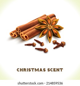 Christmas Scent Cinnamon Anise Cloves Spices Set Isolated On White Background Vector Illustration