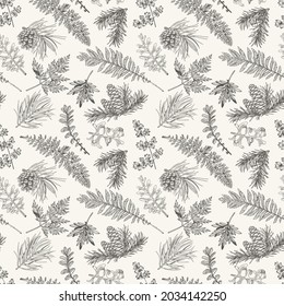 Christmas seamless botanical pattern with fir and pine branches, cones, fern and leaves.  New year background. Floral ornament. Vector vintage illustration.Black and White.