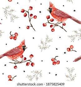 Christmas seamless pattern, cardinal bird, red berries, twigs, stars, white background. Vector illustration. Nature design. Season greeting. Winter Xmas holidays