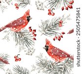 Christmas seamless pattern, cardinal birds, pine twigs, red berries, snow, white background. Vector illustration. Nature design. Season greeting. Winter holidays