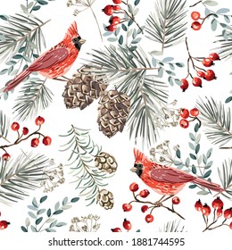 Christmas seamless pattern, cardinal birds, red berries, fir twigs, cedar cones, white background. Vector illustration. Nature design. Season greeting. Winter Xmas holidays