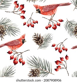 Christmas seamless pattern, cardinal birds, red berries, pine twigs, cones, white background. Vector illustration. Nature design. Season greeting. Winter Xmas holidays