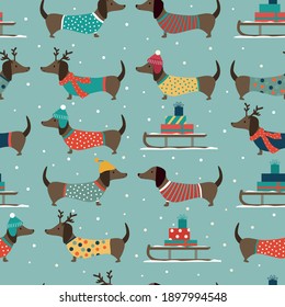 Christmas seamless pattern with dachshunds wearing hats and clothes on blue background. Vector illustration. 