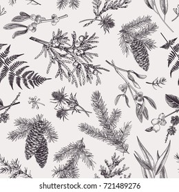 Christmas seamless pattern in engraving style. Vintage. Botanical background with coniferous plants, ferns and berries. Vector illustration. Black and white.