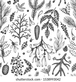 Christmas seamless pattern. Hand drawn vector winter plants background. Coniferous, holly, mistletoe design template. Vintage style illustrations