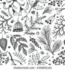 Christmas seamless pattern. Hand drawn vector winter plants background. Coniferous, holly, mistletoe design template. Vintage style illustrations